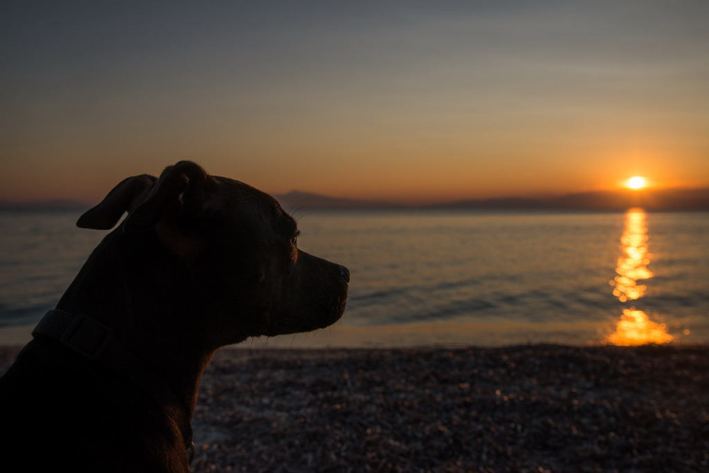  Marta pliva i uživa na moru 